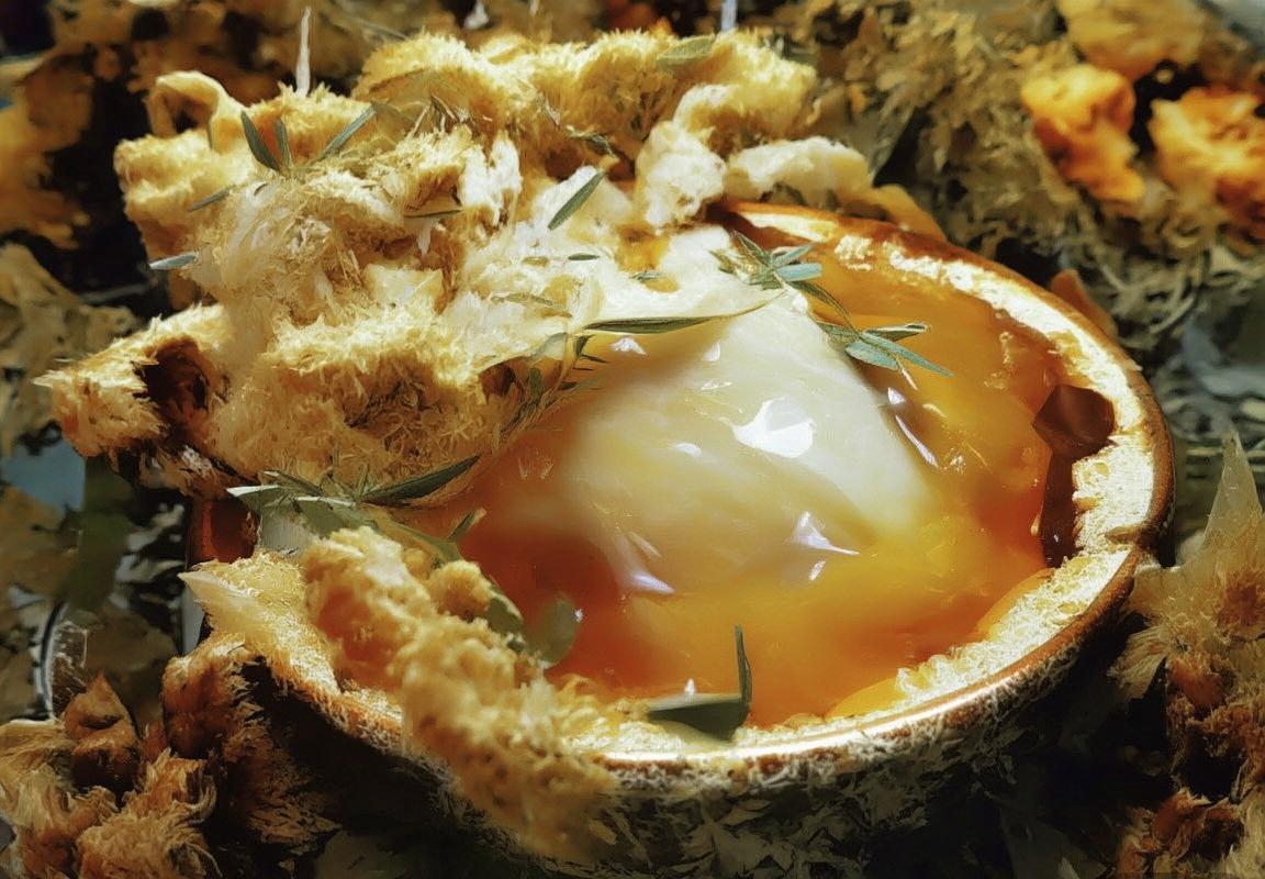 贝林厄姆：足球巨星之路的璀璨启航